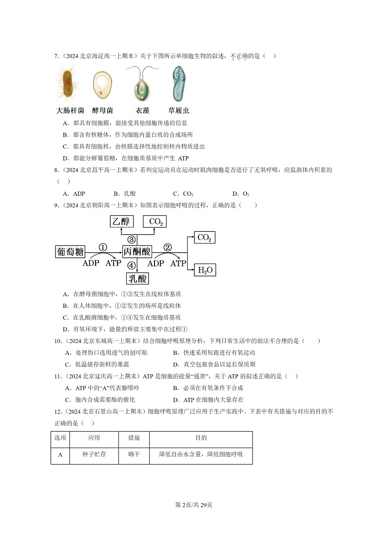[生物]2024北京重点校高一上学期期末生物真题分类汇编：细胞呼吸的原理和应用第2页