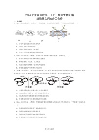 [生物]2024北京重点校高一上学期期末生物真题分类汇编：细胞器之间的分工合作