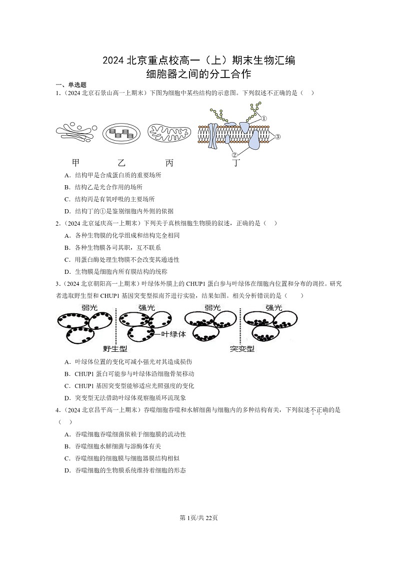 [生物]2024北京重点校高一上学期期末生物真题分类汇编：细胞器之间的分工合作01