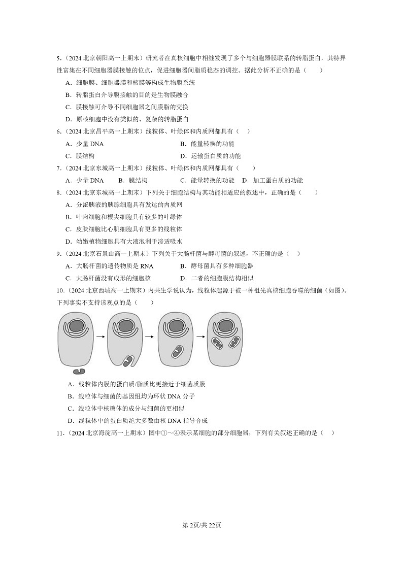 [生物]2024北京重点校高一上学期期末生物真题分类汇编：细胞器之间的分工合作02
