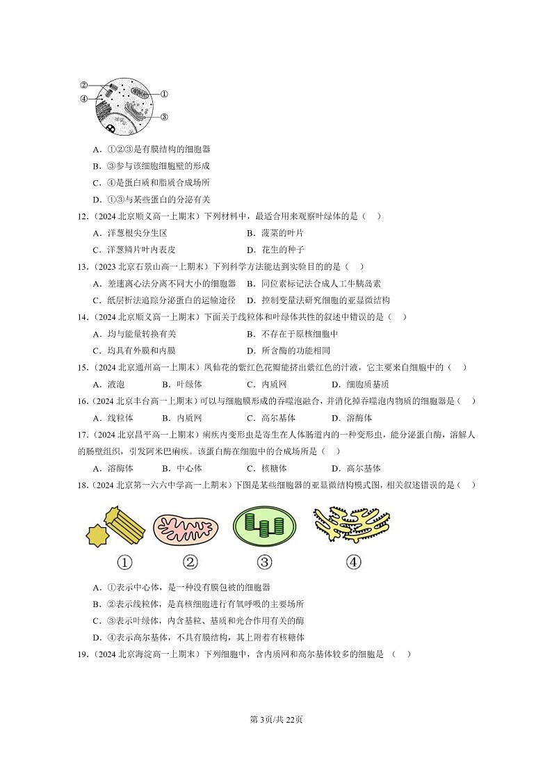 [生物]2024北京重点校高一上学期期末生物真题分类汇编：细胞器之间的分工合作03