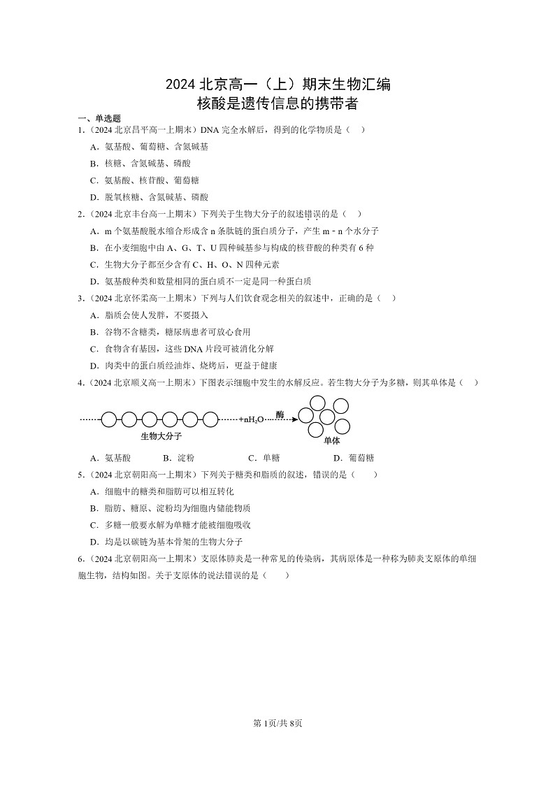 [生物]2024北京高一上学期期末生物真题分类汇编：核酸是遗传信息的携带者01
