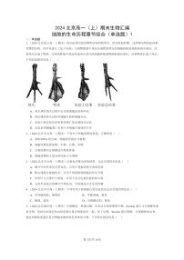 [生物]2024北京高一上学期期末生物真题分类汇编：细胞的生命历程章节综合(单选题)1