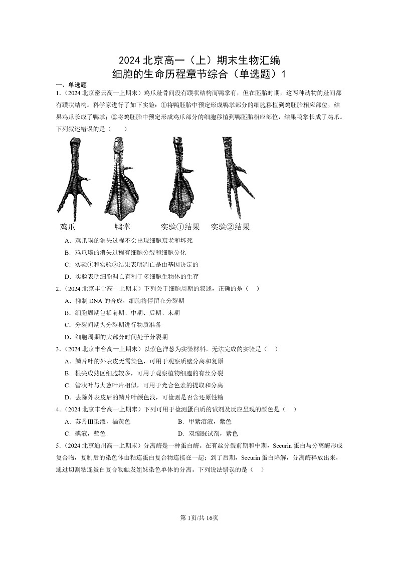 [生物]2024北京高一上学期期末生物真题分类汇编：细胞的生命历程章节综合(单选题)101