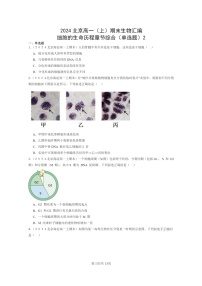 [生物]2024北京高一上学期期末生物真题分类汇编：细胞的生命历程章节综合(单选题)2