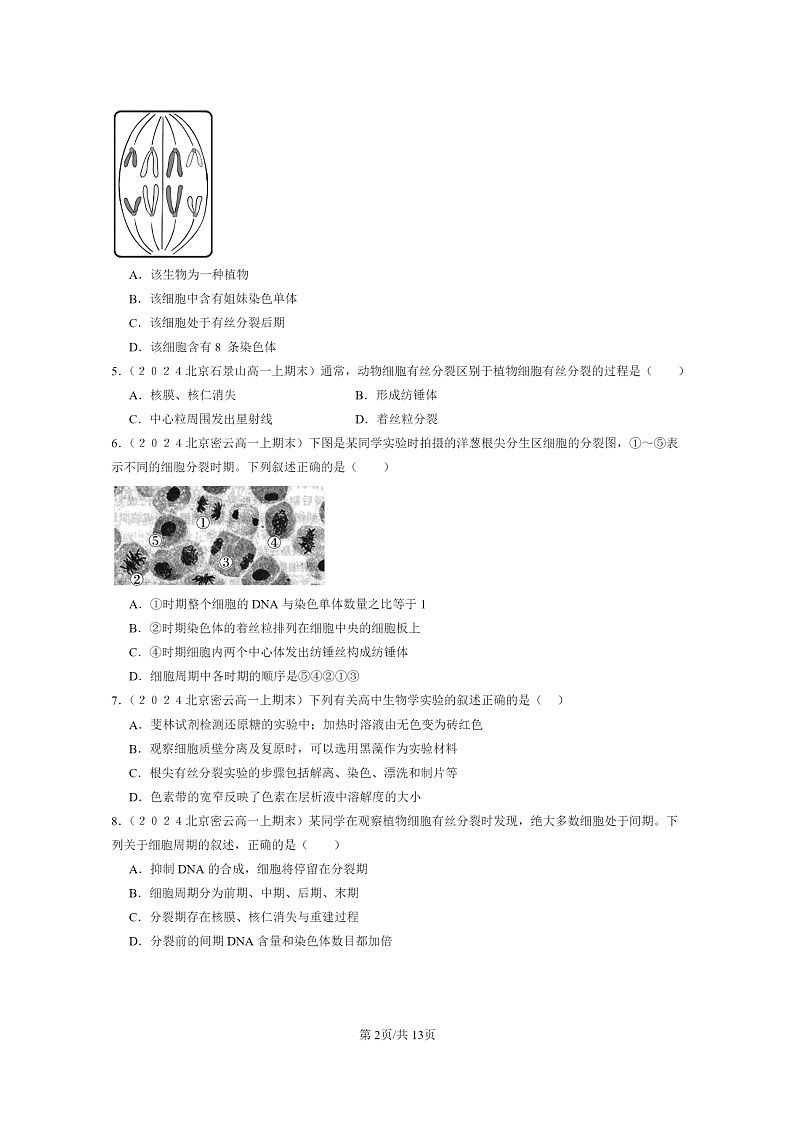 [生物]2024北京高一上学期期末生物真题分类汇编：细胞的生命历程章节综合(单选题)202