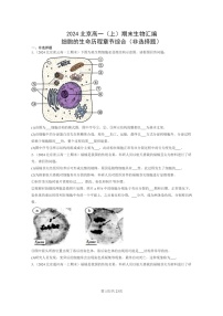 [生物]2024北京高一上学期期末生物真题分类汇编：细胞的生命历程章节综合(非选择题)