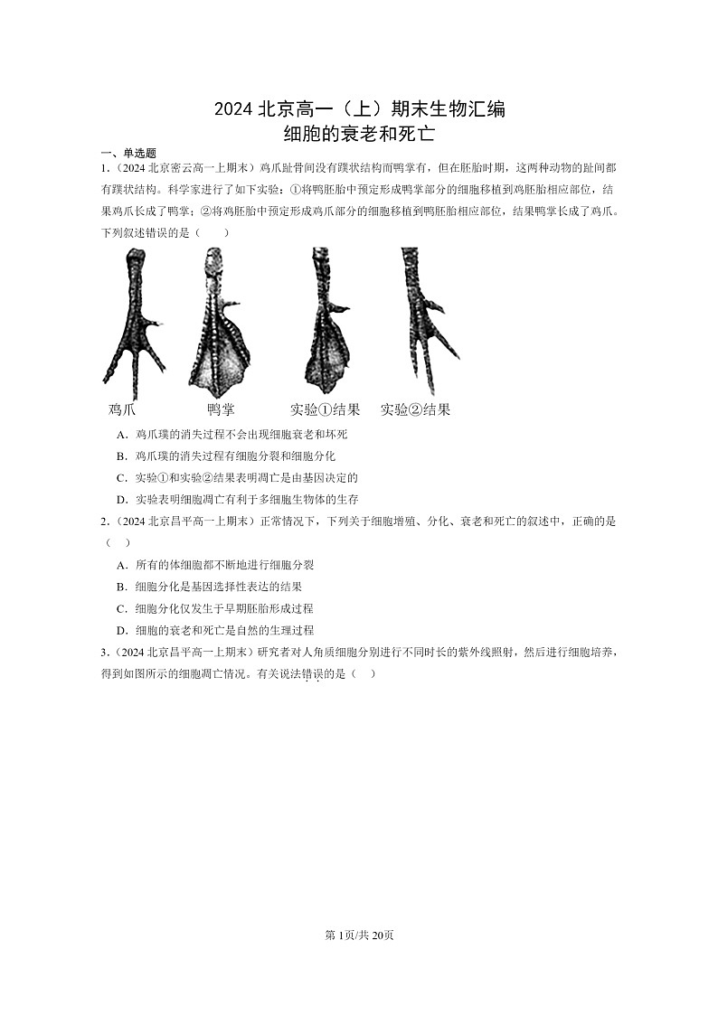 [生物]2024北京高一上学期期末生物真题分类汇编：细胞的衰老和死亡01