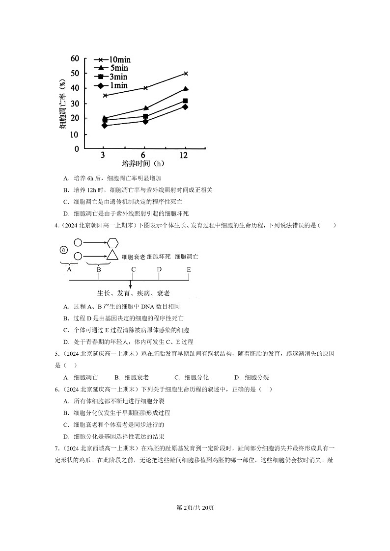[生物]2024北京高一上学期期末生物真题分类汇编：细胞的衰老和死亡02