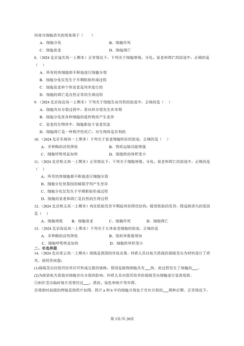 [生物]2024北京高一上学期期末生物真题分类汇编：细胞的衰老和死亡03