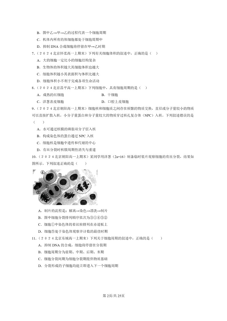 [生物]2024北京高一上学期期末生物真题分类汇编：细胞的增殖02