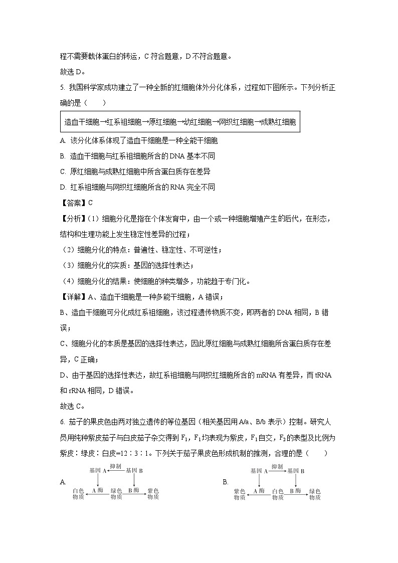 [生物][期末]广西南宁市2023-2024学年高一下学期期末考调研测试(解析版)03