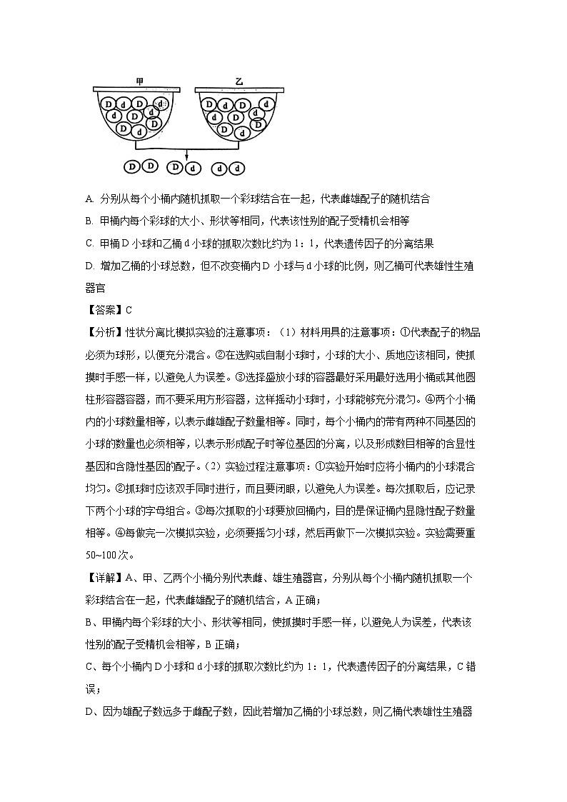 [生物][期末]甘肃省酒泉市2023-2024学年高一下学期7月期末试卷(解析版)第3页