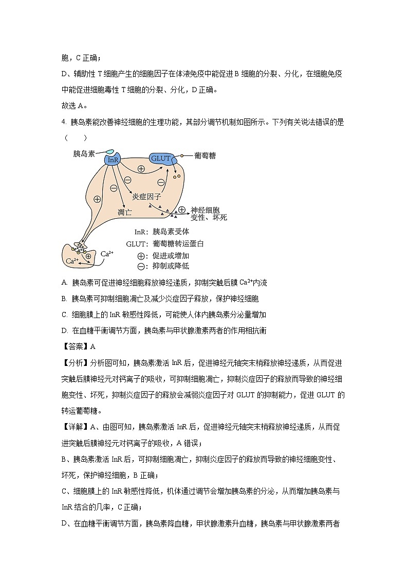 [生物][期末]安徽省天一大联考2023-2024学年高二下学期7月期末试题(解析版)第3页