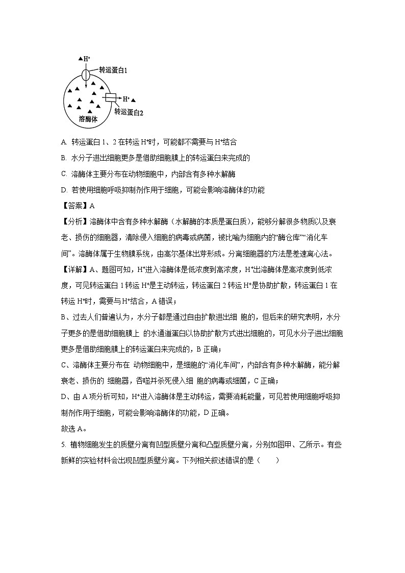 [生物][期末]山东省枣庄市2023-2024学年高二下学期期末考试试题(解析版)03