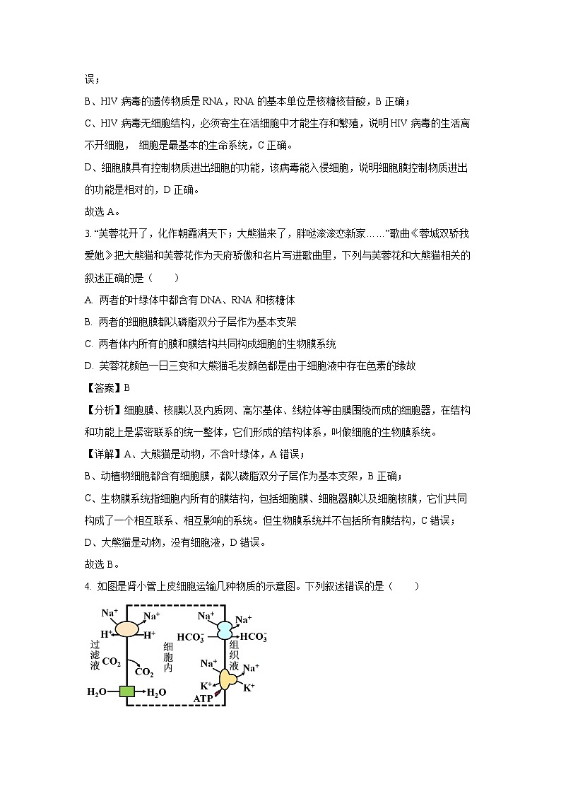 [生物][期末]四川省雅安市2023-2024学年高二下学期期末考试试题(解析版)02