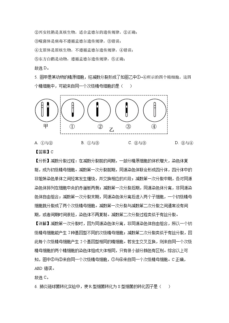 [生物][期末]河北省唐山市2023-2024学年高一下学期7月期末试卷(解析版)第3页
