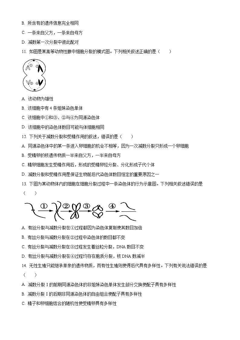 四川省成都市第七中学2023-2024学年高一下学期第一次月考（3月）生物试卷（Word版附解析）03