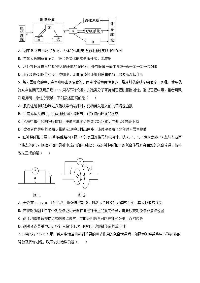 四川省成都市第七中学2023-2024学年高二上学期期末模拟生物试卷（Word版附解析）02