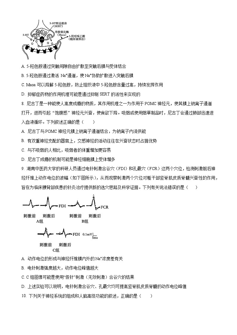 四川省成都市第七中学2023-2024学年高二上学期期末模拟生物试卷（Word版附解析）03