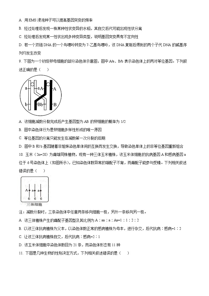 辽宁省名校联盟2023-2024学年高一下学期7月期末考试生物试卷（Word版附解析）第3页