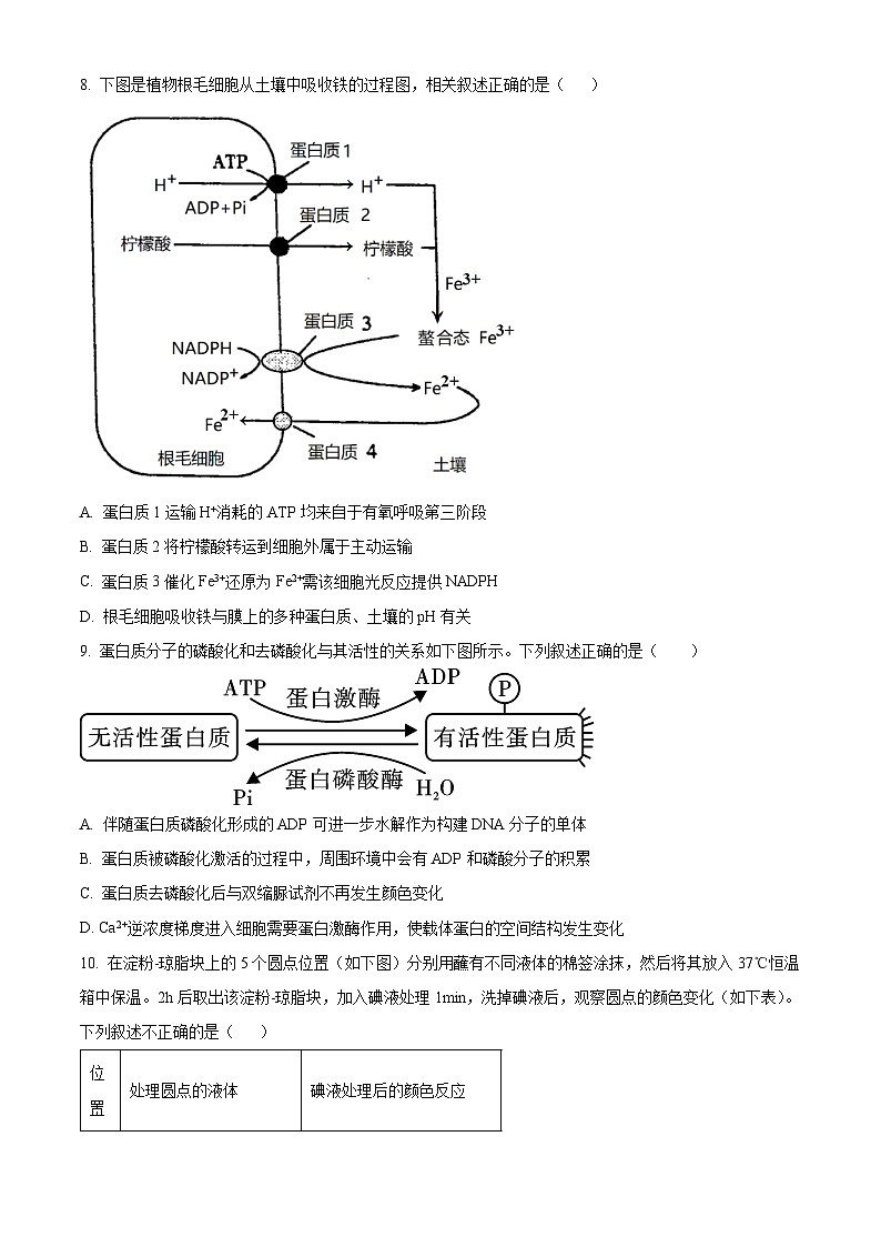 辽宁省沈阳市省五校协作体2023-2024学年高二下学期7月期末联考生物试卷（Word版附解析）03
