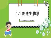 1.1细胞是生命活动的基本单位课件-2024-2025学年高一上生物人教版（2019）必修1