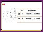 1.2细胞的多样性和统一性 课件-2024-2025学年高一上学期生物人教版（2019）必修1