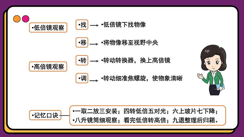 1.2细胞的多样性和统一性 课件-2024-2025学年高一上学期生物人教版（2019）必修1第6页