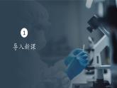 1.2细胞的多样性和统一性课件-2024-2025学年高一上学期生物人教版（2019）必修1
