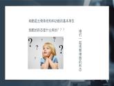 1.2细胞的多样性和统一性课件-2024-2025学年高一上学期生物人教版（2019）必修1