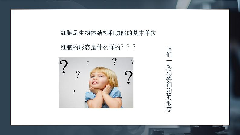 1.2细胞的多样性和统一性课件-2024-2025学年高一上学期生物人教版（2019）必修1第3页