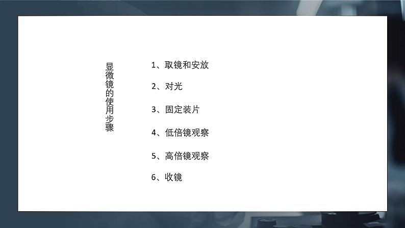 1.2细胞的多样性和统一性课件-2024-2025学年高一上学期生物人教版（2019）必修1第6页