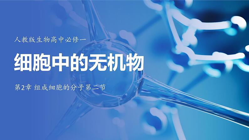 2.2细胞中的无机物 课件-2024-2025学年高一上生物人教版（2019）必修101