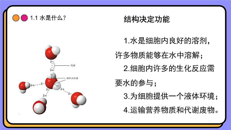 2.2细胞中的无机物课件-2024-2025学年 高一上生物人教版（2019）必修1第4页