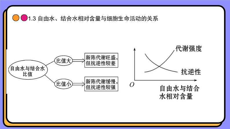 2.2细胞中的无机物课件-2024-2025学年 高一上生物人教版（2019）必修1第7页