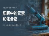 2.2细胞中的无机物课件-2024-2025学年高一上生物人教版（2019）必修1