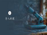 2.2细胞中的无机物课件-2024-2025学年高一上生物人教版（2019）必修1