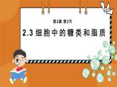2.3细胞中的糖类和脂质 教学课件 高一上学期 人教版（2019）高中生物必修1