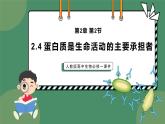2.4蛋白质是生命活动的主要承担者 课件 高一上学期 人教版（2019）高中生物必修1