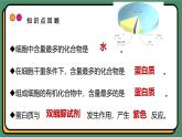 2.4蛋白质是生命活动的主要承担者 课件 高一上学期 人教版（2019）高中生物必修1