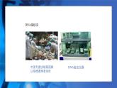 2.5核酸是遗传信息的携带者 教学课件 高一上学期 人教版（2019）高中生物必修1