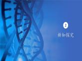 2.5核酸是遗传信息的携带者 教学课件 高一上学期 人教版（2019）高中生物必修1