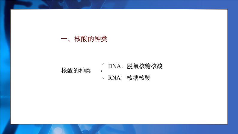 2.5核酸是遗传信息的携带者 教学课件 高一上学期 人教版（2019）高中生物必修1第6页