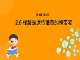 2.5核酸是遗传信息的携带者 课件 高一上学期 人教版（2019）高中生物必修1