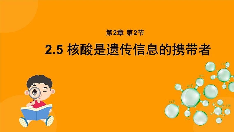 2.5核酸是遗传信息的携带者 课件 高一上学期 人教版（2019）高中生物必修1第1页