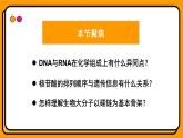 2.5核酸是遗传信息的携带者 课件 高一上学期 人教版（2019）高中生物必修1