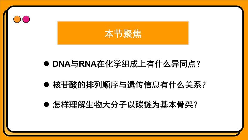 2.5核酸是遗传信息的携带者 课件 高一上学期 人教版（2019）高中生物必修1第5页