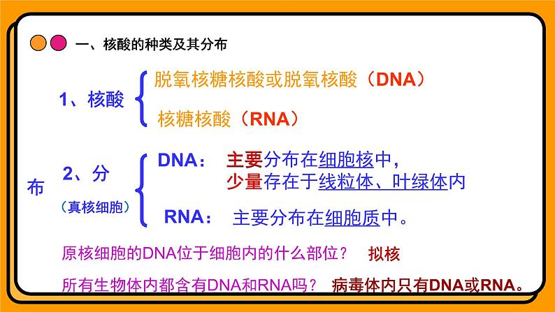 2.5核酸是遗传信息的携带者 课件 高一上学期 人教版（2019）高中生物必修1第6页