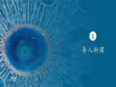 3.1细胞膜的结构和功能 教学课件 高一上学期 人教版（2019）高中生物必修1